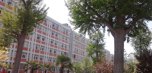 我的大學(xué)-大學(xué)志