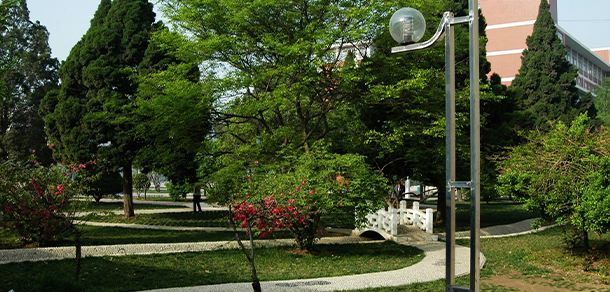 我的大學(xué)-大學(xué)志