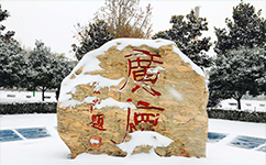 文化標(biāo)識：校名題寫 / ?；赵O(shè)計
