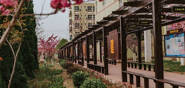 我的大學(xué)-大學(xué)志