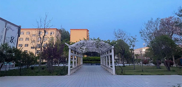 我的大學(xué)-大學(xué)志