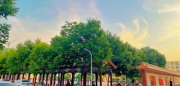 我的大學(xué)-大學(xué)志