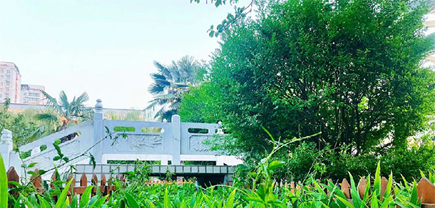 我的大學(xué)-大學(xué)志