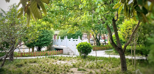 我的大學(xué)-大學(xué)志