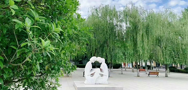 我的大學(xué)-大學(xué)志
