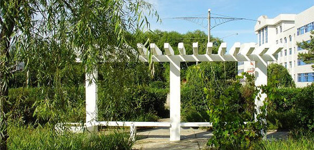 我的大學(xué)-大學(xué)志