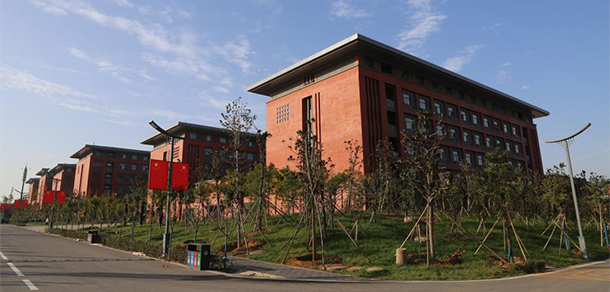 我的大學-大學志