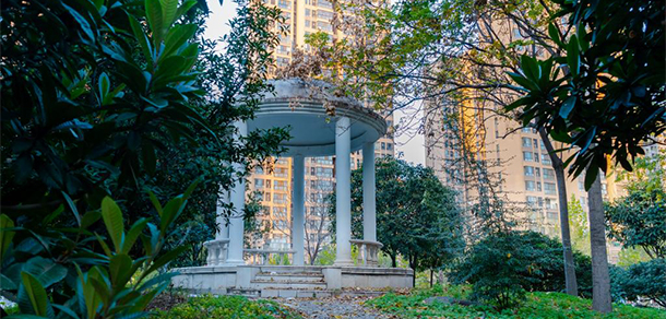 我的大學(xué)-大學(xué)志