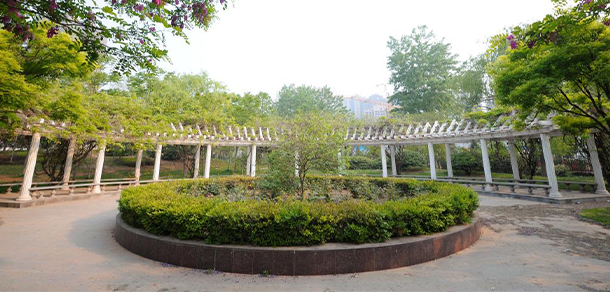 我的大學(xué)-大學(xué)志