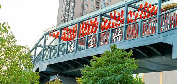 我的大學(xué)-大學(xué)志