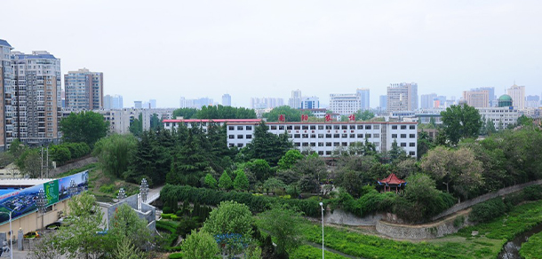 我的大學(xué)-大學(xué)志