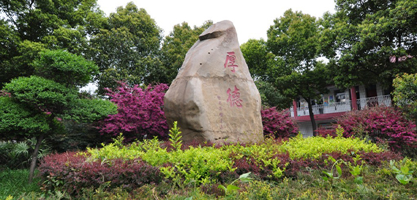 我的大學(xué)-大學(xué)志