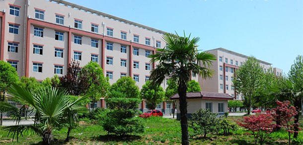 我的大學(xué)-大學(xué)志