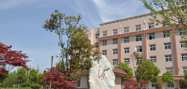 我的大學(xué)-大學(xué)志