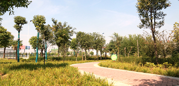 我的大學(xué)-大學(xué)志