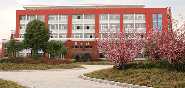 我的大學(xué)-大學(xué)志