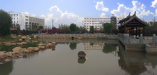 我的大學(xué)-大學(xué)志