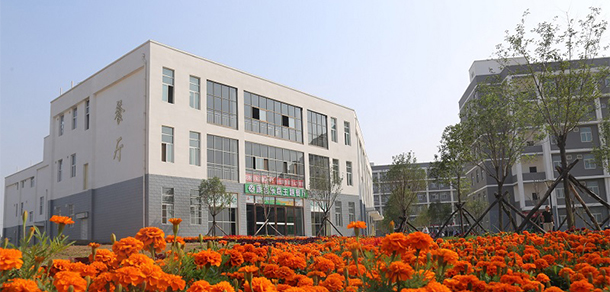 我的大學(xué)-大學(xué)志