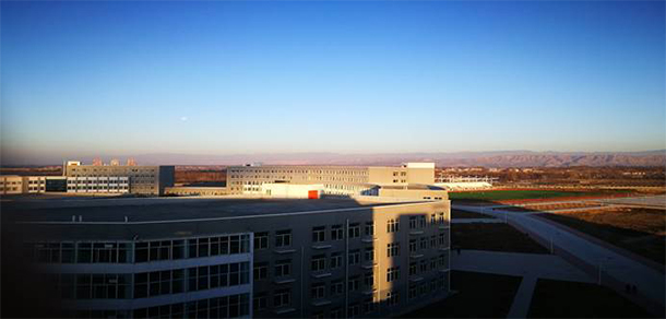 我的大學(xué)-大學(xué)志