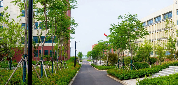 我的大學(xué)-大學(xué)志