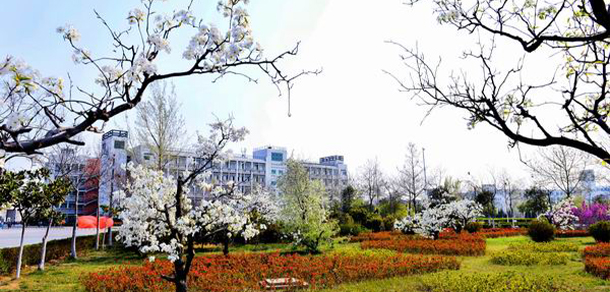 我的大學(xué)-大學(xué)志
