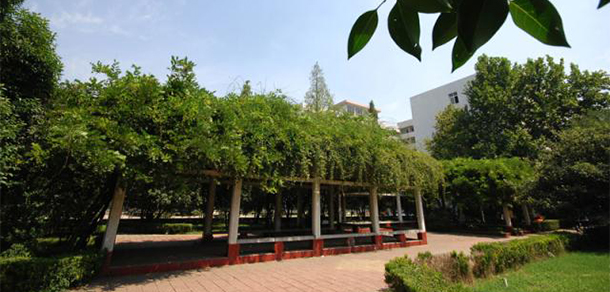 我的大學-大學志