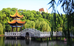 歷史沿革（概）校史