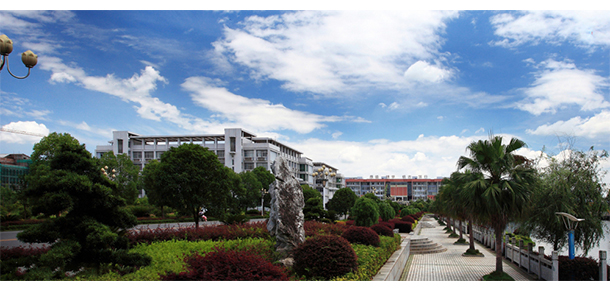我的大學(xué)-大學(xué)志