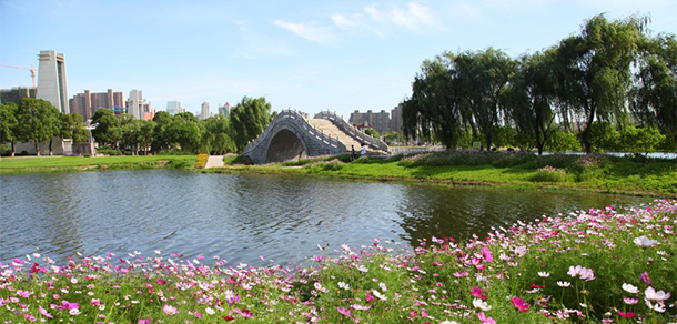 我的大學(xué)-大學(xué)志