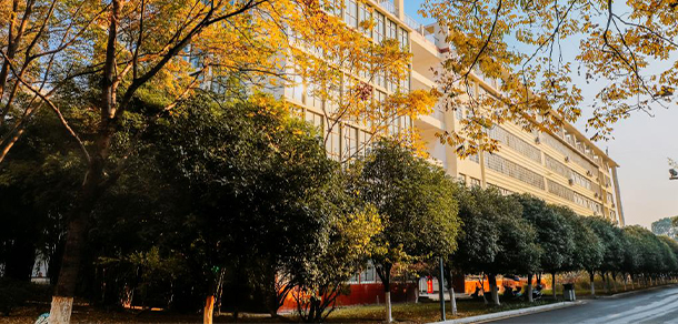 我的大學(xué)-大學(xué)志