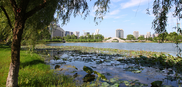 我的大學(xué)-大學(xué)志