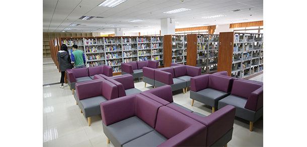 我的大學(xué)-大學(xué)志