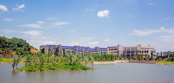我的大學(xué)-大學(xué)志