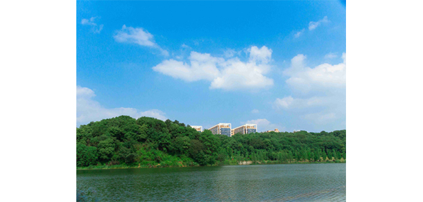 我的大學(xué)-大學(xué)志
