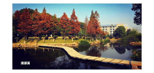 我的大學(xué)-大學(xué)志