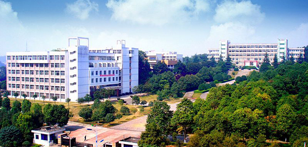 我的大學(xué)-大學(xué)志