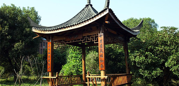 我的大學(xué)-大學(xué)志