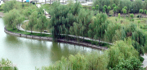 2022年招生分數(shù)