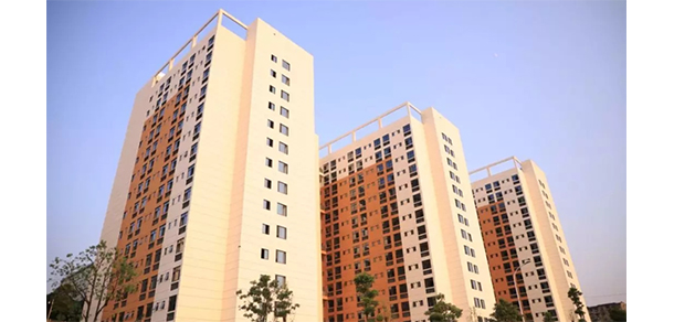 我的大學(xué)-大學(xué)志