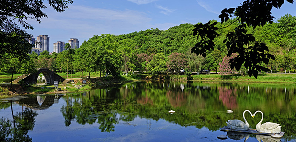 我的大學(xué)-大學(xué)志