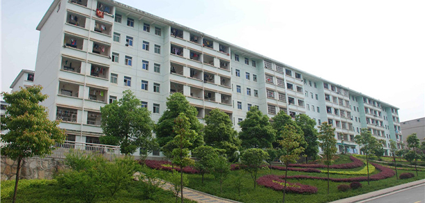我的大學-大學志