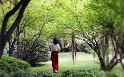 招生公告 · 招生簡章 · 招生計劃