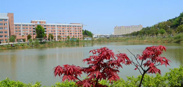 我的大學(xué)-大學(xué)志
