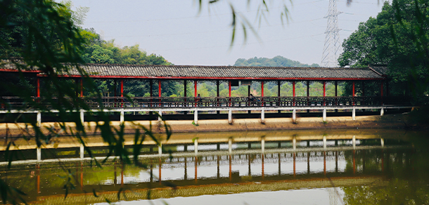 2021年招生簡(jiǎn)章