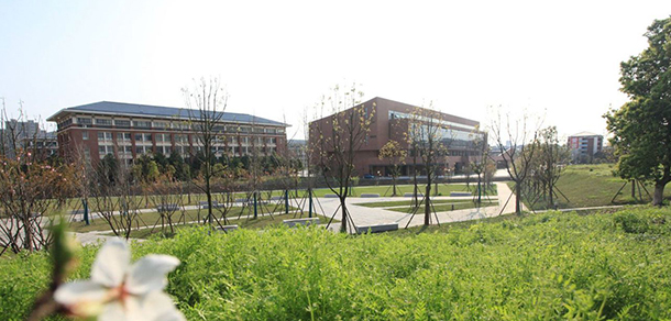 我的大學(xué)-大學(xué)志