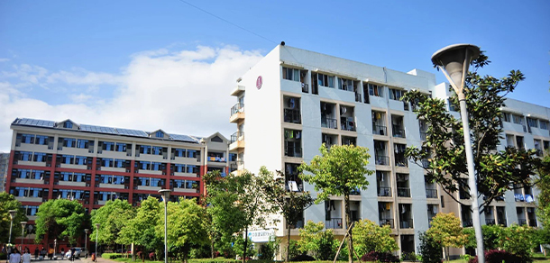我的大學-大學志