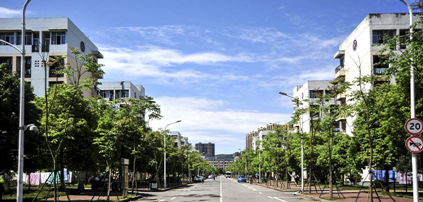 我的大學-大學志