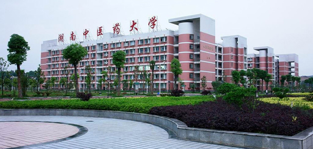 我的大學-大學志