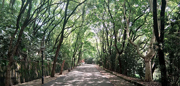 我的大學(xué)-大學(xué)志