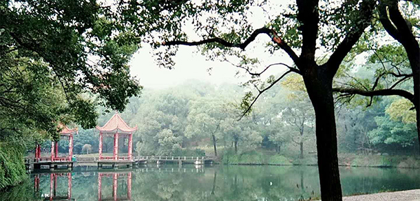 我的大學(xué)-大學(xué)志